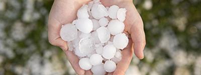  The effect of hail on bitumous membranes